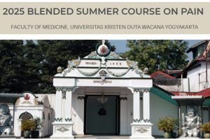 summer course on pain FK UKDW