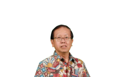 Drs. Wimmie Handiwidjojo, MIT